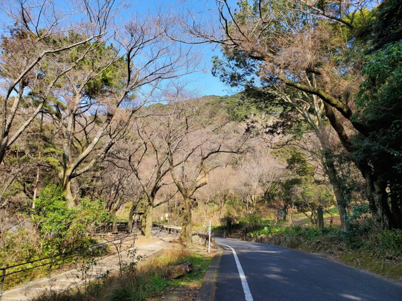 ウォーキングコース